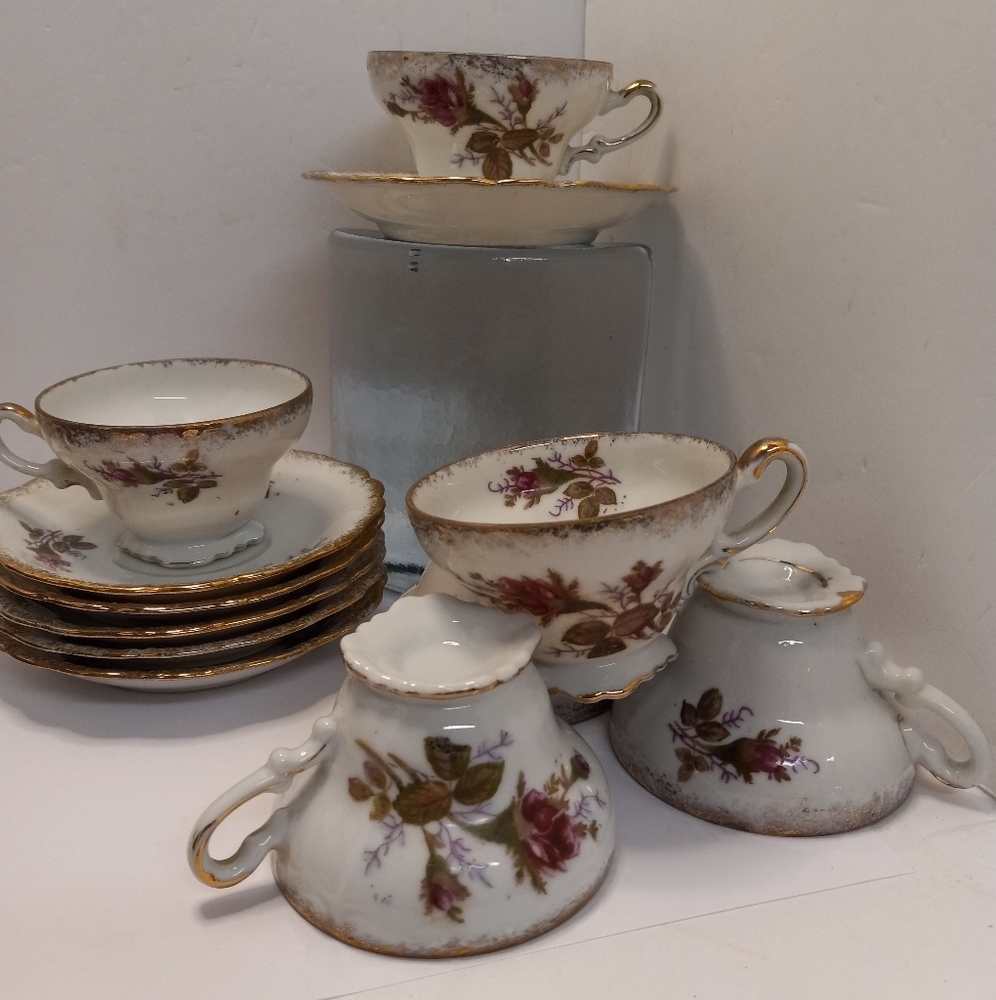 VTGE 12Pc. UCAGCO Demitasse Moss Rose China Teacups and Saucers Collectible